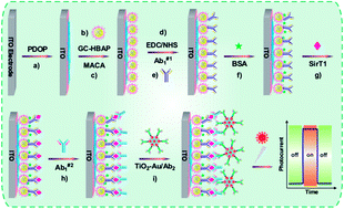 Graphical abstract: A TiO2-Au–polymer hybrid system for the photoelectrochemical immunoassay of SirT1