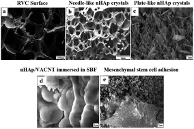 Graphical abstract: Fast preparation of free-standing nanohydroxyapatite–vertically aligned carbon nanotube scaffolds