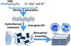 Graphical abstract: Bioinspired assembly of layered double hydroxide/carboxymethyl chitosan bionanocomposite hydrogel films