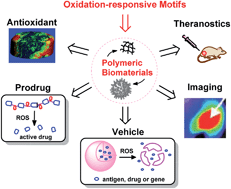 Graphical abstract: Oxidation-responsive polymers for biomedical applications