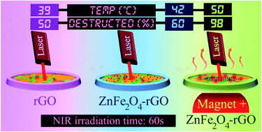 Graphical abstract: Zinc ferrite spinel-graphene in magneto-photothermal therapy of cancer
