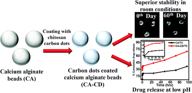 Graphical abstract: Novel carbon dot coated alginate beads with superior stability, swelling and pH responsive drug delivery