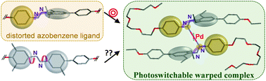 Graphical abstract: A design strategy for stable light-sensitive palladium complexes
