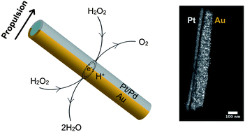 Graphical abstract: Metallic and bi-metallic Janus nanofibers: electrical and self-propulsion properties
