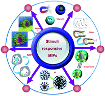Graphical abstract: Stimuli-responsive molecularly imprinted polymers: versatile functional materials