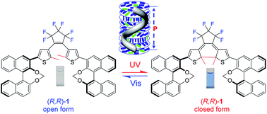 Graphical abstract: A photoswitchable and thermally stable axially chiral dithienylperfluorocyclopentene dopant with high helical twisting power