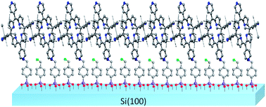 Graphical abstract: Long range order in Si(100) surfaces engineered with porphyrin nanostructures