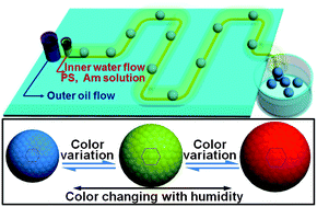Graphical abstract: Facile fabrication of tunable colloidal photonic crystal hydrogel supraballs toward a colorimetric humidity sensor