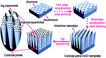 Graphical abstract: Gap-tunable Ag-nanorod arrays on alumina nanotip arrays as effective SERS substrates