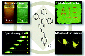 Graphical abstract: A tetraphenylethene-substituted pyridinium salt with multiple functionalities: synthesis, stimuli-responsive emission, optical waveguide and specific mitochondrion imaging