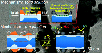 Graphical abstract: Bi-functional mechanism of H2S detection using CuO–SnO2 nanowires