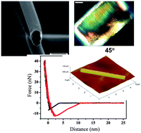 Graphical abstract: Enhanced interfacial rigidity of 1D thermoset nanostructures by interface-induced liquid crystallinity