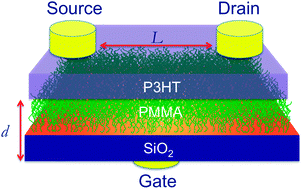 Graphical abstract: All-polymer field-effect transistors using a brush gate dielectric