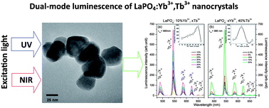 Graphical abstract: The effects of down- and up-conversion on dual-mode green luminescence from Yb3+- and Tb3+-doped LaPO4 nanocrystals