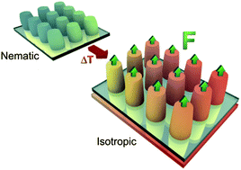 Graphical abstract: Liquid-crystalline elastomer micropillar array for haptic actuation