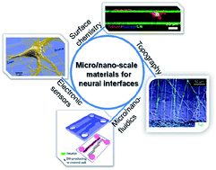 Graphical abstract: Micro/nano-scale materials and structures for constructing neuronal networks and addressing neurons