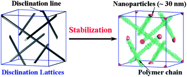 Graphical abstract: Polymer-stabilized nanoparticle-enriched blue phase liquid crystals