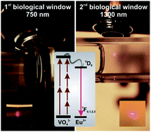 Graphical abstract: Multiphoton absorption in europium(iii) doped YVO4 nanoparticles