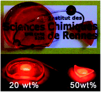 Graphical abstract: Deep red luminescent hybrid copolymer materials with high transition metal cluster content