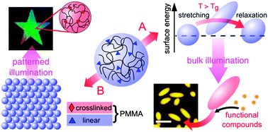 Graphical abstract: Photo-crosslinkable, deformable PMMA colloids