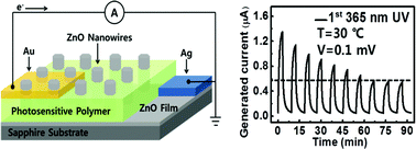 Graphical abstract: Current generation of vertically aligned ZnO nanowires by photo-induced deformation of a matrix polymer