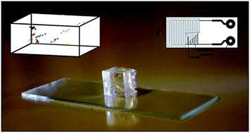 Graphical abstract: Ion Jelly: a novel sensing material for gas sensors and electronic noses