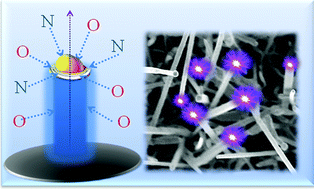 Graphical abstract: Influence of oxygen in architecting large scale nonpolar GaN nanowires
