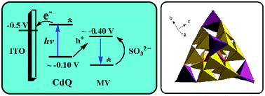 Graphical abstract: Synthesis and photocurrent responsive properties of CdS/Se clusters integrated with methylviologen