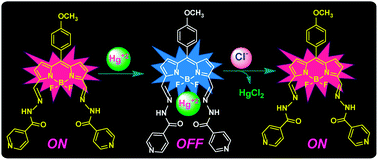 Graphical abstract: A boron-dipyrrin–mercury(ii) complex as a fluorescence turn-on sensor for chloride and applications towards logic gates