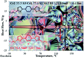 Graphical abstract: Bis(5-alkylthiophen-2-yl)arene liquid crystals as molecular semiconductors