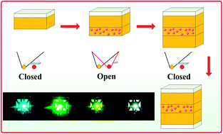 Graphical abstract: Highly efficient single-layer organic light-emitting devices based on a bipolar pyrazine/carbazole hybrid host material