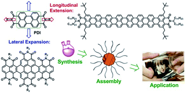 Graphical abstract: Beyond perylene diimides: synthesis, assembly and function of higher rylene chromophores