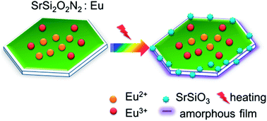 Graphical abstract: Thermal degradation of the green-emitting SrSi2O2N2:Eu2+ phosphor for solid state lighting