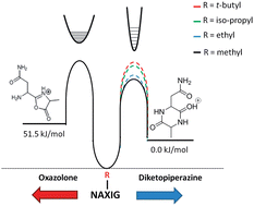 Graphical abstract: IR action spectroscopy shows competitive oxazolone and diketopiperazine formation in peptides depends on peptide length and identity of terminal residue in the departing fragment