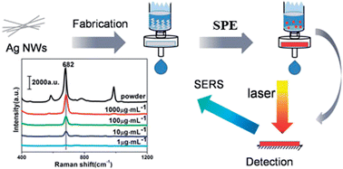 Graphical abstract: A disordered silver nanowires membrane for extraction and surface-enhanced Raman spectroscopy detection