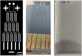 Graphical abstract: Microfluidic-SERS devices for one shot limit-of-detection