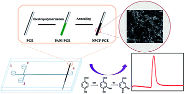 Graphical abstract: A rapid and sensitive method for hydroxyl radical detection on a microfluidic chip using an N-doped porous carbon nanofiber modified pencil graphite electrode
