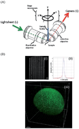 Graphical abstract: Light sheet fluorescence microscopy (LSFM): past, present and future