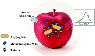 Graphical abstract: Rapid simultaneous detection of multi-pesticide residues on apple using SERS technique