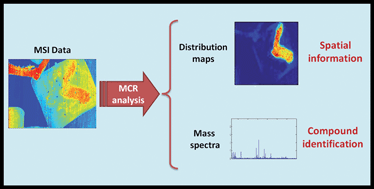Graphical abstract: Potential use of multivariate curve resolution for the analysis of mass spectrometry images