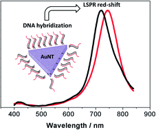 Graphical abstract: Localized surface plasmon resonance (LSPR) biosensing using gold nanotriangles: detection of DNA hybridization events at room temperature