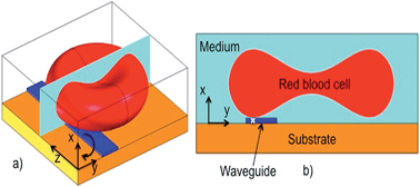 Graphical abstract: Squeezing red blood cells on an optical waveguide to monitor cell deformability during blood storage