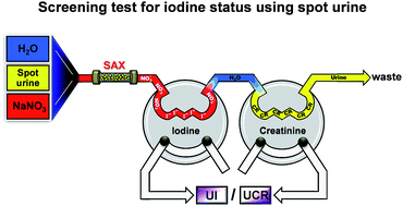 Graphical abstract: Simultaneous determination of iodide and creatinine in human urine by flow analysis with an on-line sample treatment column