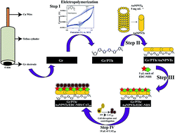 Graphical abstract: Development of a simple bioelectrode for the electrochemical detection of hydrogen peroxide using Pichia pastoris catalase immobilized on gold nanoparticle nanotubes and polythiophene hybrid