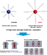 Graphical abstract: Surfactant-free nanoparticle–DNA complexes with ultrahigh stability against salt for environmental and biological sensing