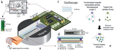 Graphical abstract: NMR–DMF: a modular nuclear magnetic resonance–digital microfluidics system for biological assays
