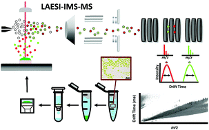 Graphical abstract: Metabolic transformation of microalgae due to light acclimation and genetic modifications followed by laser ablation electrospray ionization mass spectrometry with ion mobility separation