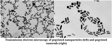 Graphical abstract: Oligopeptide–heavy metal interaction monitoring by hybrid gold nanoparticle based assay