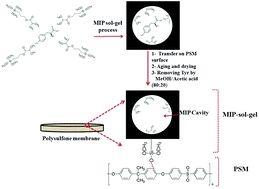 Graphical abstract: A new strategy for surface modification of polysulfone membrane by in situ imprinted sol–gel method for the selective separation and screening of l-Tyrosine as a lung cancer biomarker
