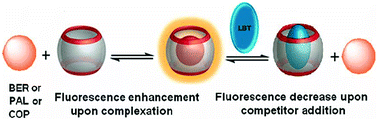 Graphical abstract: Supramolecular interaction of labetalol with cucurbit[7]uril for its sensitive fluorescence detection